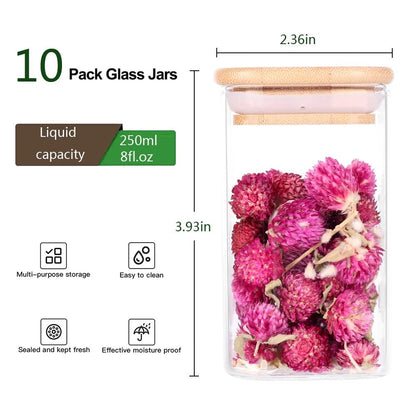 Set of 10 Bamboo Lid Storage Jars for 8oz Spice - Stylish, Airtight Glass Containers - Roots & Rooms