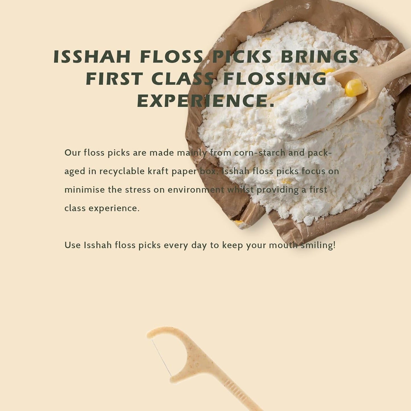 Vegan Mint Dental Floss Picks - 200 Count, Eco-Friendly - Roots & Rooms