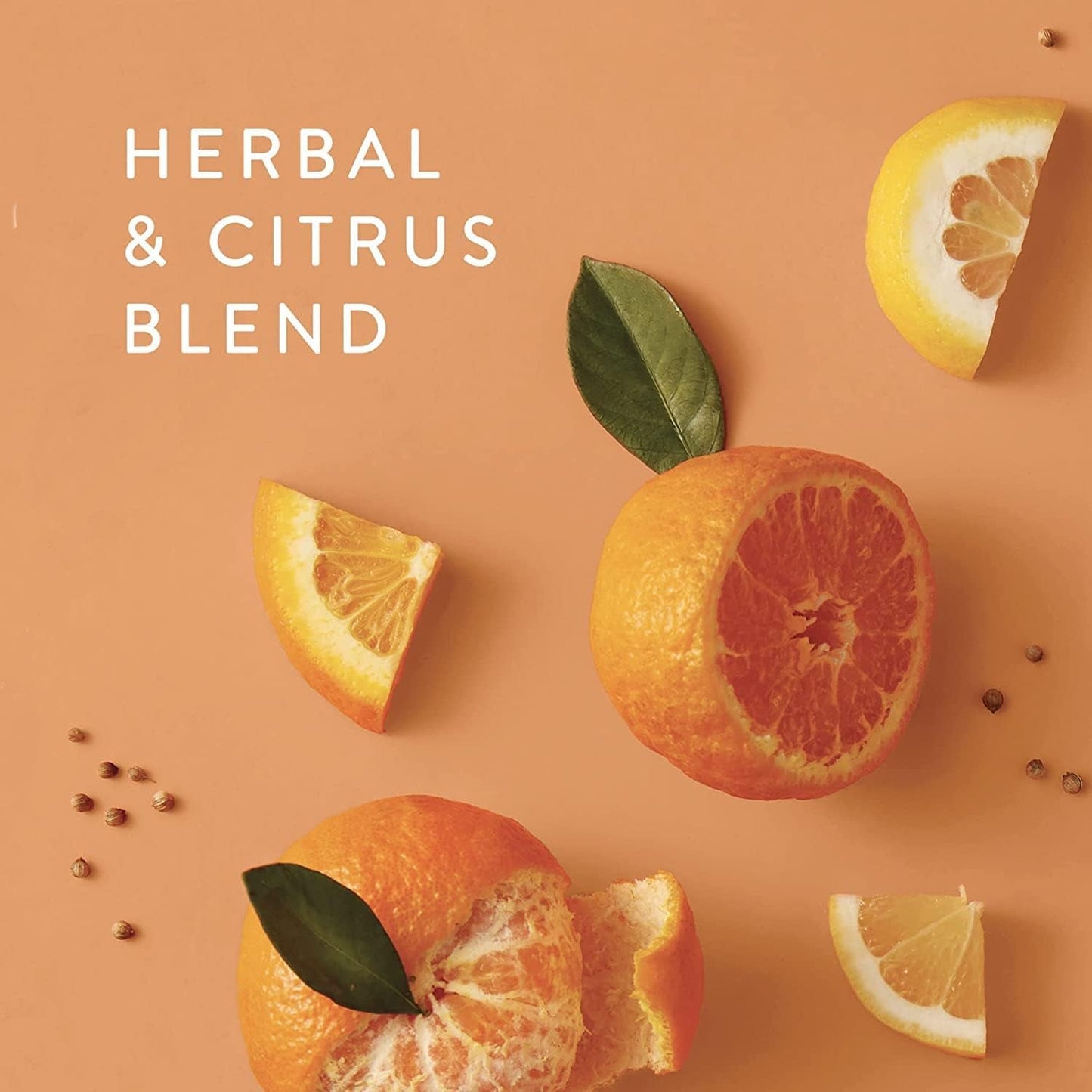 Thymes Petite Reed Diffuser - 4 Fl Oz - Mandarin Coriander - Roots & Rooms